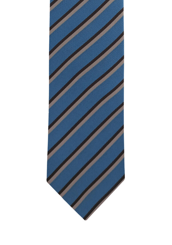 NW31-S1